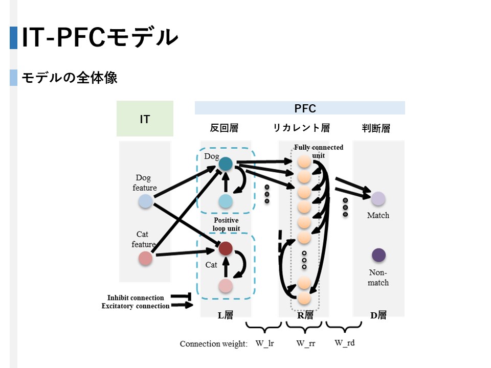 ワーキングメモリにおける時系列情報の保持と行動のための神経機構 発表資料-NC研究会・脳医工学研究センター