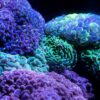 脳科学ってヤバイ　脳科学を学びたいと思っている人へ